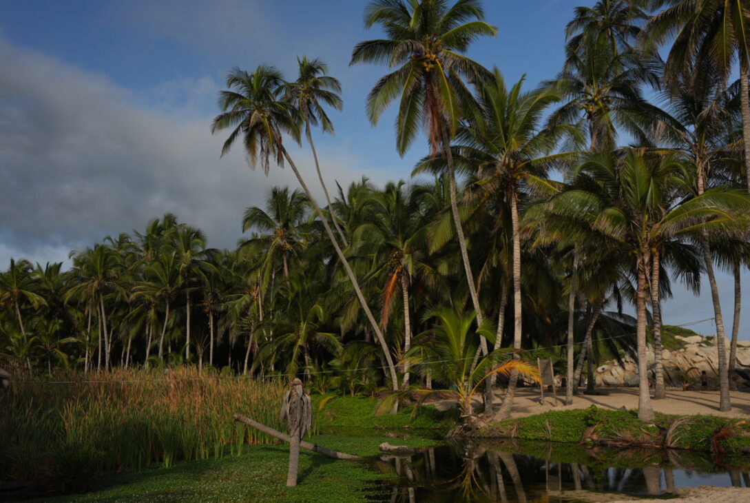 Parque Tayrona, Nationalpark bei Santa Marta in Kolumbien