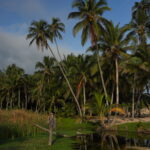 Parque Tayrona, Nationalpark bei Santa Marta in Kolumbien