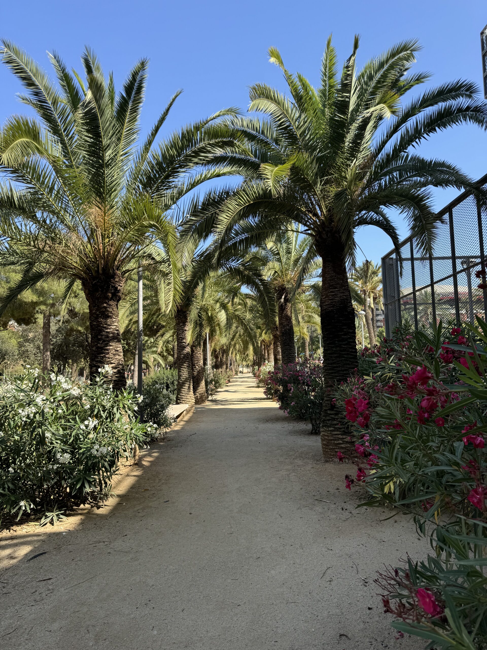 Park in Barcelona