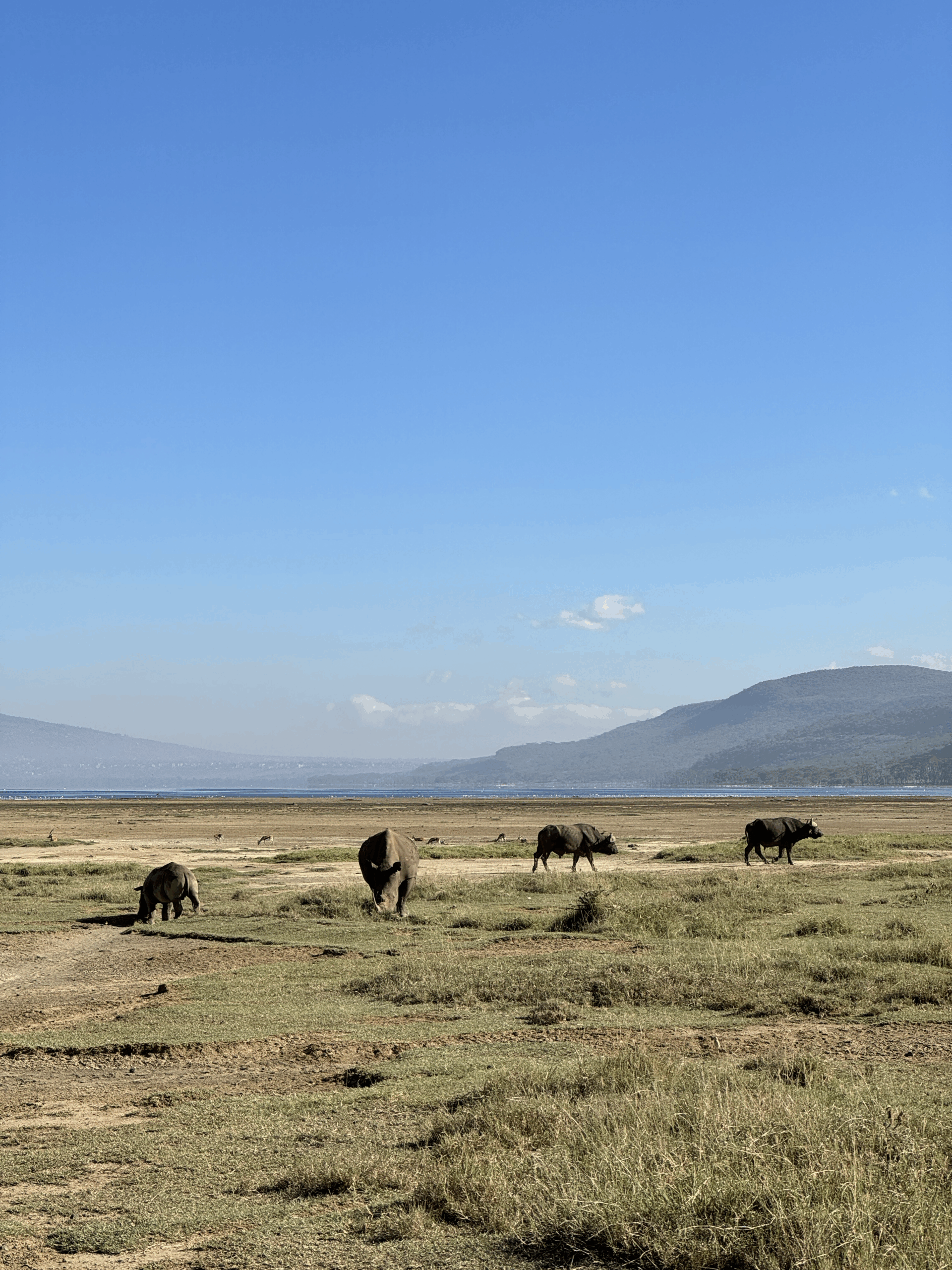 Lake Nakuru 