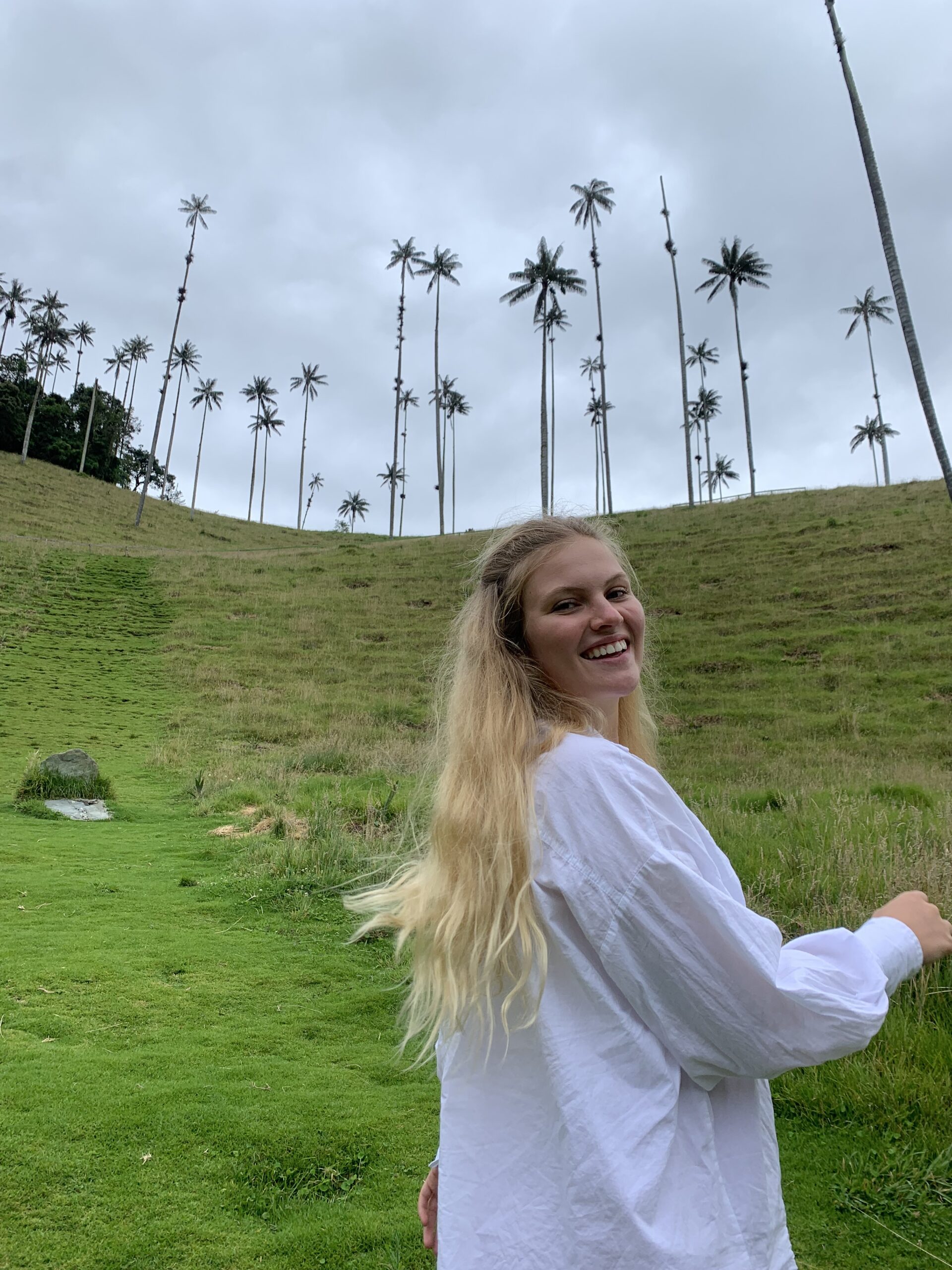 Valle de Cocora, Salento, Kolumbien