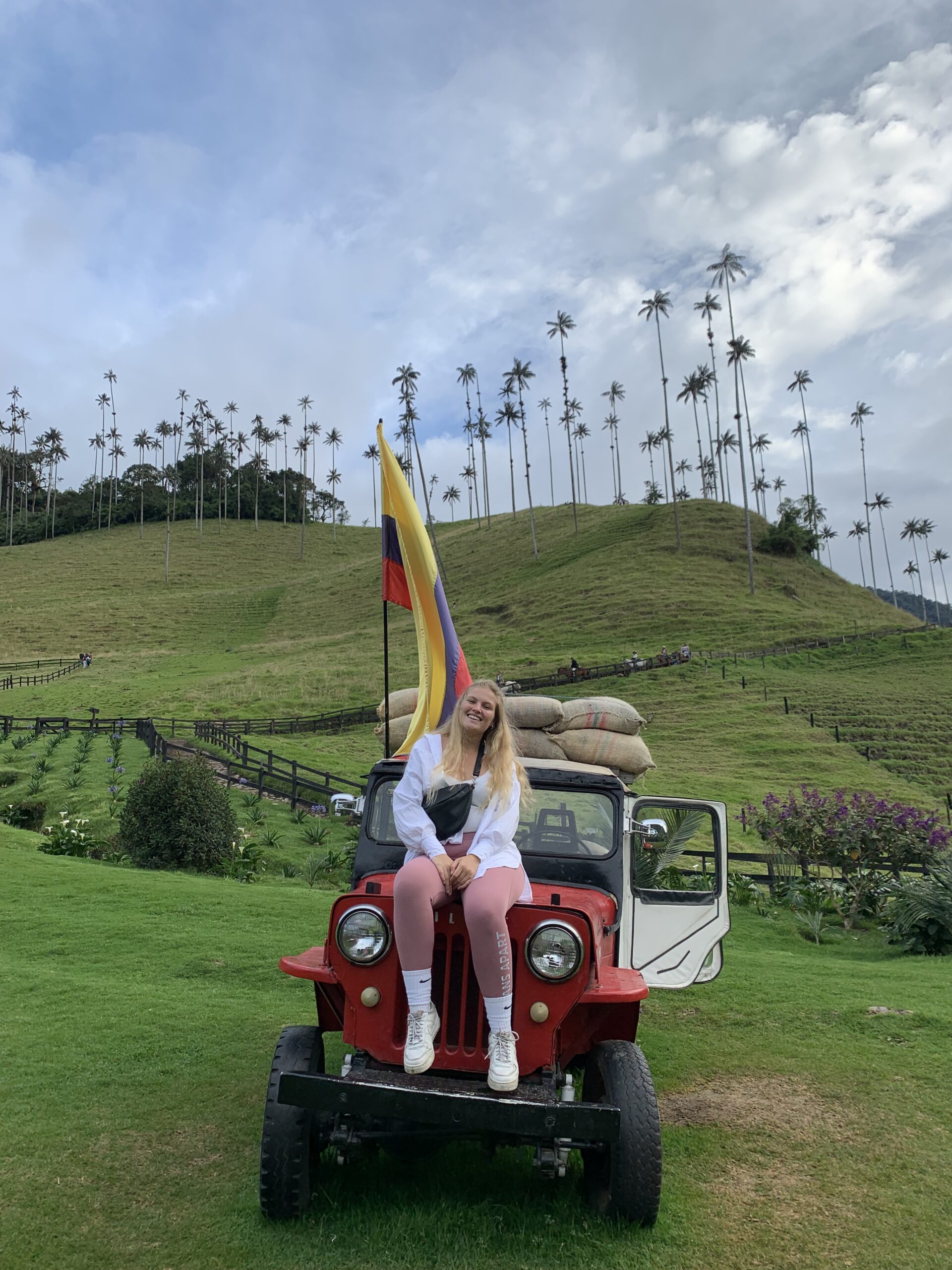 Valle de Cocora, Salento, Kolumbien