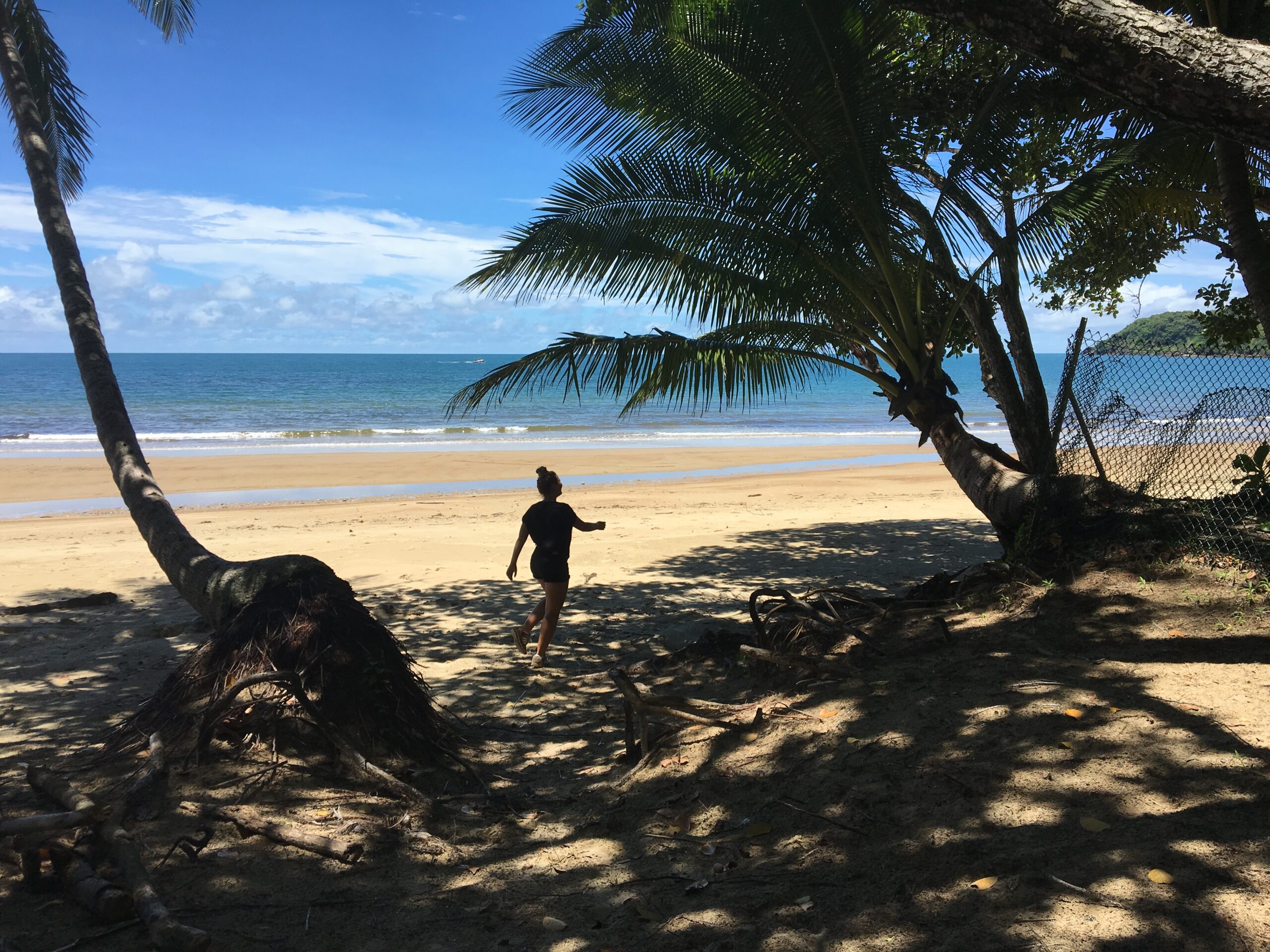 Daintree NationalPark